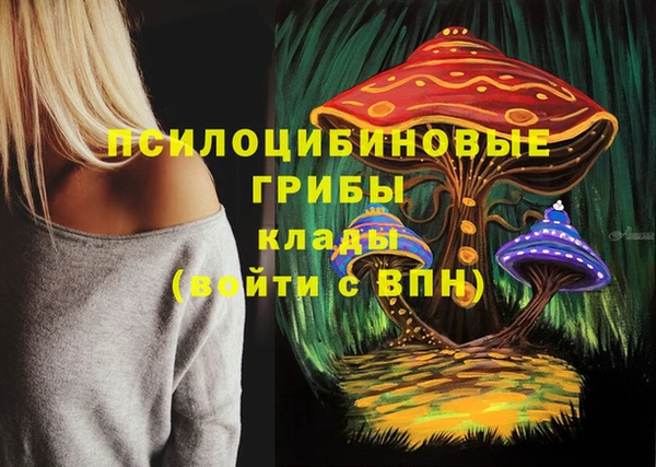 герыч Алзамай