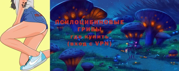 прущий лед Алексин